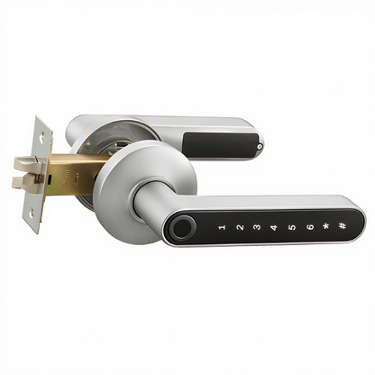 Smart Door Handle