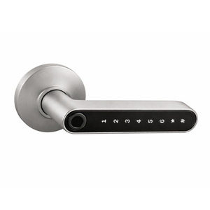 Smart Door Handle