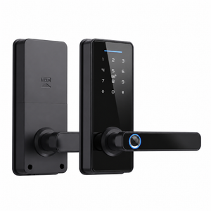 Smart Door Lock Mini