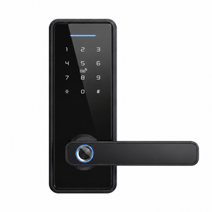 Smart Door Lock Mini