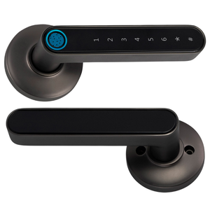 Smart Door Handle