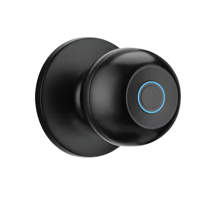 Smart Door Knob
