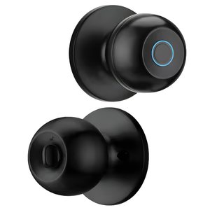 Smart Door Knob
